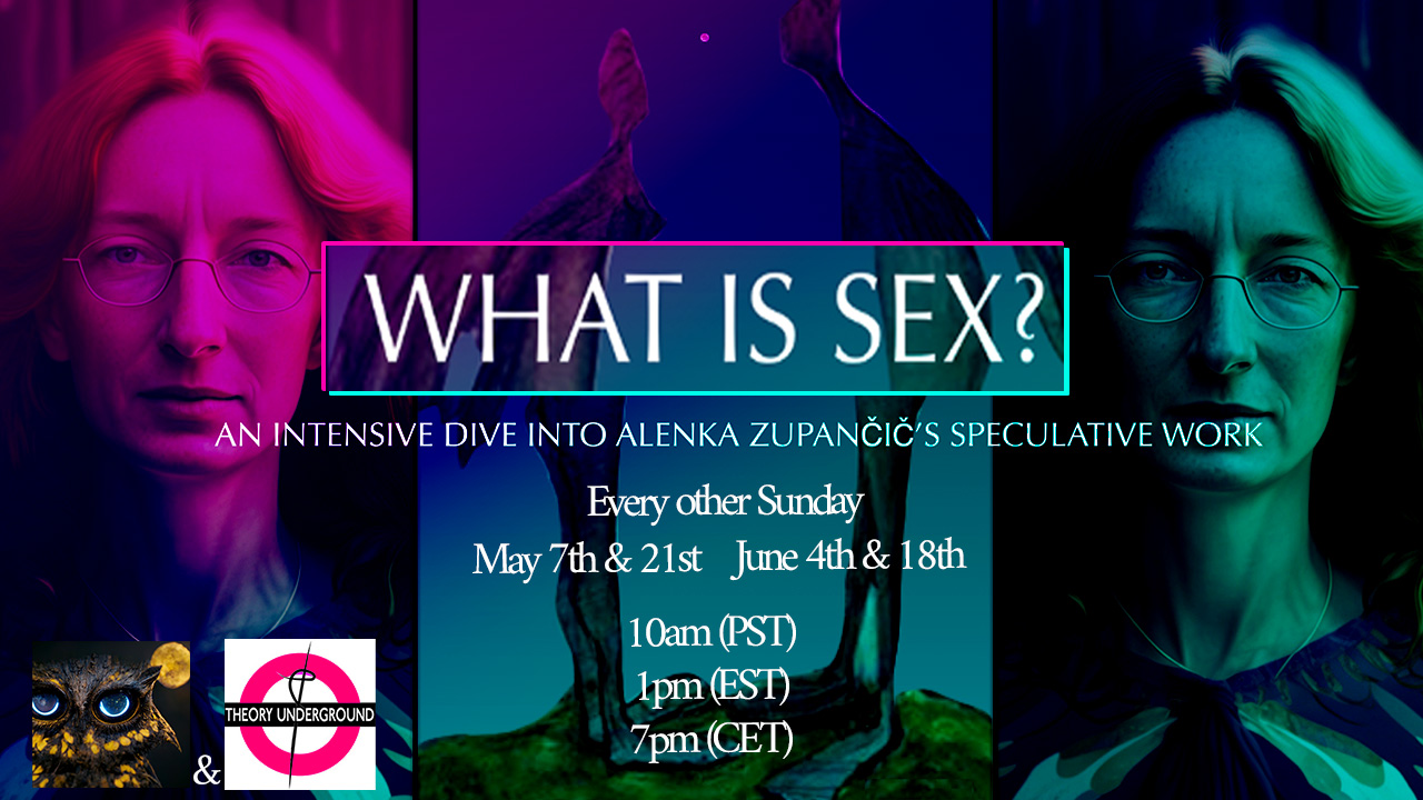 Alenka Zupančičs What Is Sex Theory Underground 6443